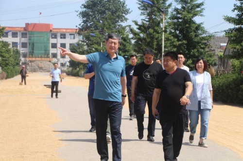 区委副书记李文成,副区长孙辉,相关部门和镇街主要负责同志参加活动.