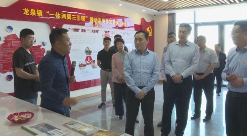 区委书记殷锡瑞,区委副书记李文成,相关部门及龙泉镇主要负责同志参加