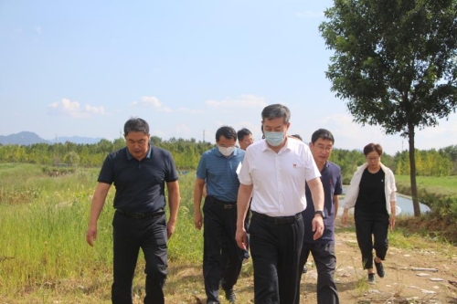 区委副书记李文成,区委常委,组织部部长王本华,相关部门和街道主要